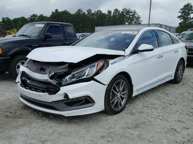 5NPE34AB2FH040175 - 2015 HYUNDAI SONATA SPO WHITE photo 2