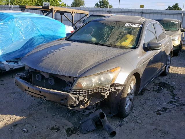 JHMCP26808C037768 - 2008 HONDA ACCORD EXL GRAY photo 2