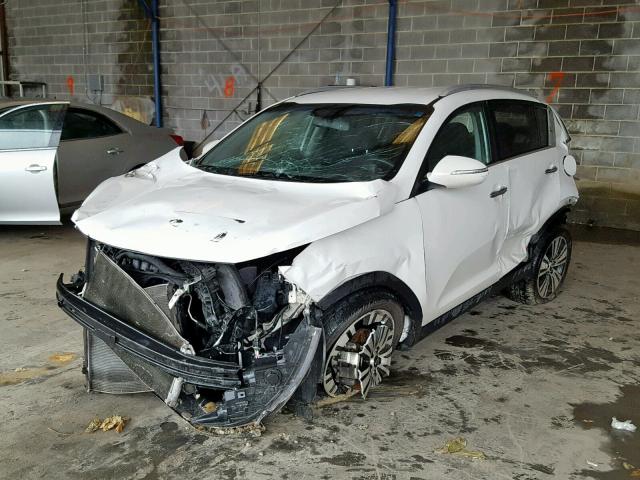 KNDPC3AC8E7651228 - 2014 KIA SPORTAGE E WHITE photo 2