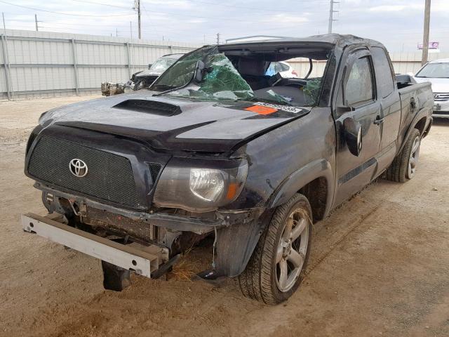 5TETU22N98Z526354 - 2008 TOYOTA TACOMA X-R BLACK photo 2