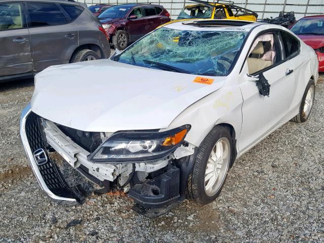 1HGCT2B89EA008877 - 2014 HONDA ACCORD EXL WHITE photo 2