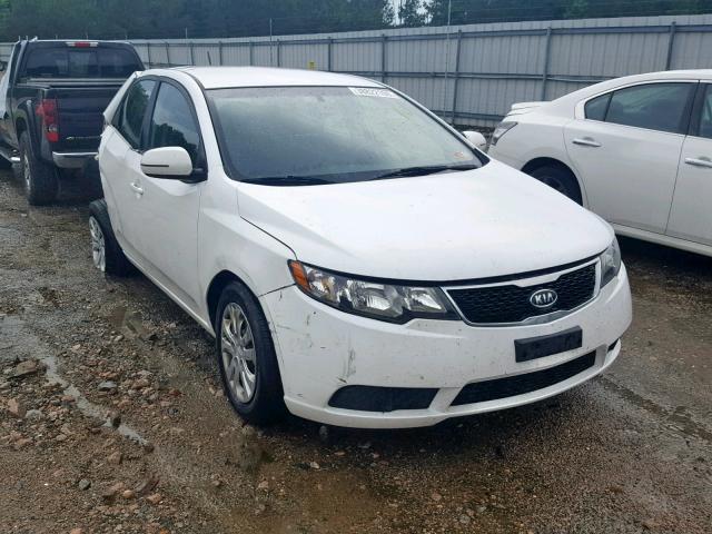 KNAFU4A28D5696408 - 2013 KIA FORTE EX WHITE photo 1