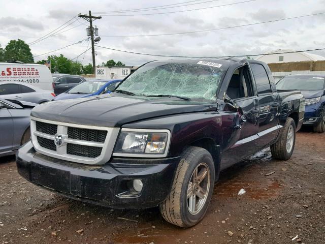 1D7CW3GP5AS140069 - 2010 DODGE DAKOTA SXT BLACK photo 2