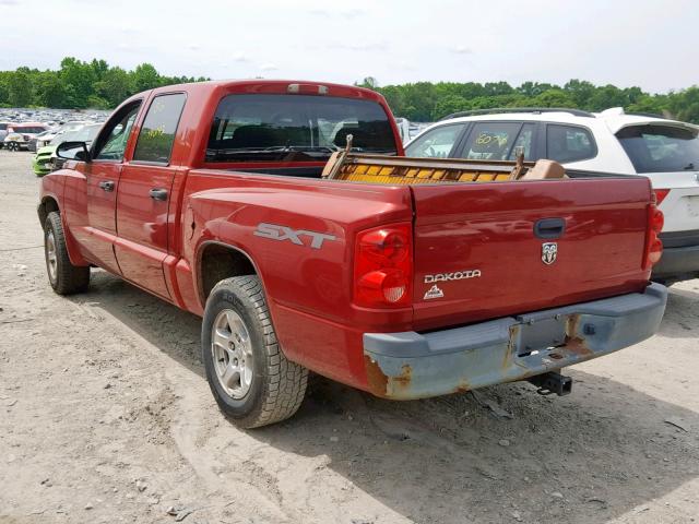 1D7HE28K17S261132 - 2007 DODGE DAKOTA QUA RED photo 3