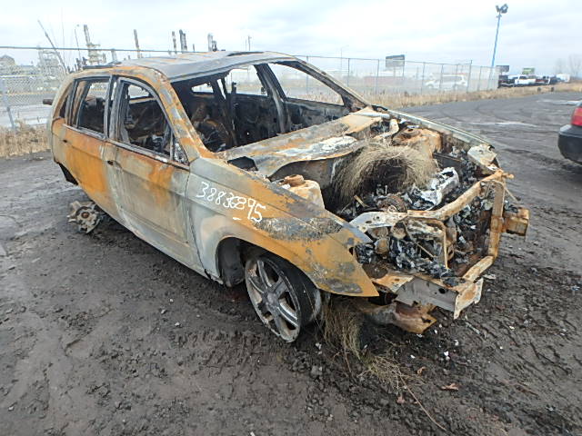 2C8GF68424R523232 - 2004 CHRYSLER PACIFICA BURN photo 1