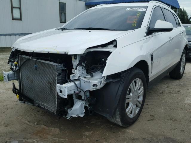 3GYFNAEY0BS521631 - 2011 CADILLAC SRX LUXURY WHITE photo 2