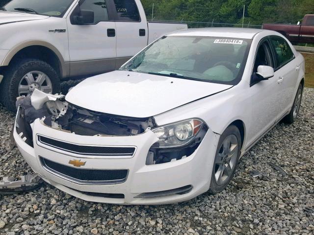 1G1ZC5E0XAF177666 - 2010 CHEVROLET MALIBU 1LT 白色 照片 2