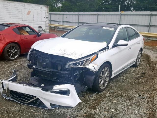 5NPE34AB5FH195917 - 2015 HYUNDAI SONATA SPO WHITE photo 2