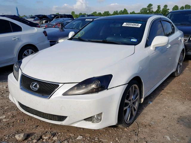 JTHBK262185065864 - 2008 LEXUS IS 250 WHITE photo 2