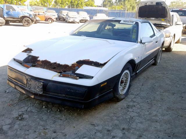 1G2AW87S9DN212658 - 1983 PONTIAC FIREBIRD T WHITE photo 2