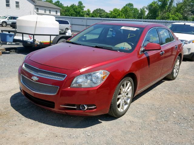 1G1ZE5E7XBF251418 - 2011 CHEVROLET MALIBU LTZ 勃艮第红 照片 2