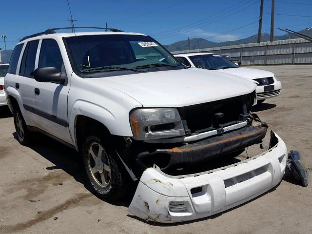 1GNDT13S652173990 - 2005 CHEVROLET TRAILBLAZE WHITE photo 1