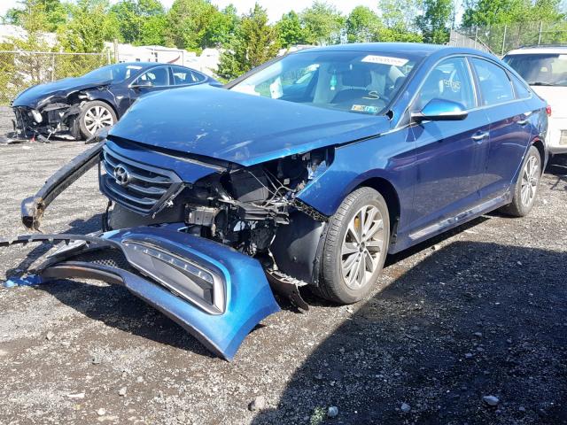 5NPE34AF3GH283465 - 2016 HYUNDAI SONATA SPO BLUE photo 2