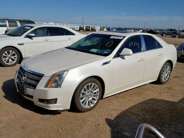 1G6DH5EG9A0131879 - 2010 CADILLAC CTS LUXURY WHITE photo 2