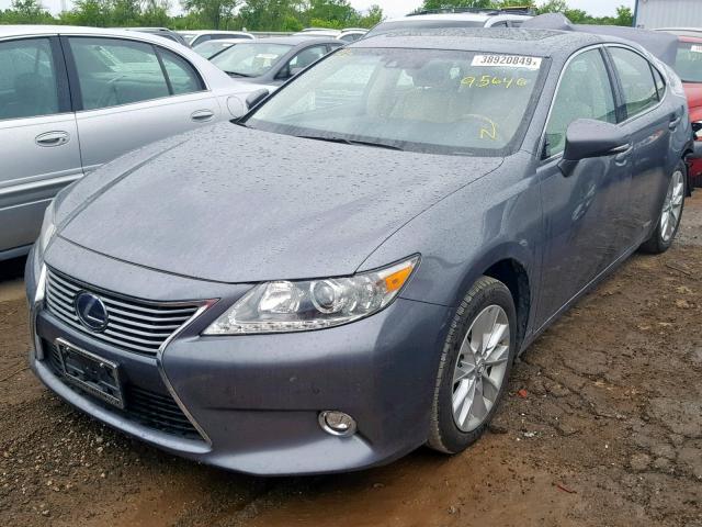 JTHBW1GG2E2043765 - 2014 LEXUS ES 300H GRAY photo 2