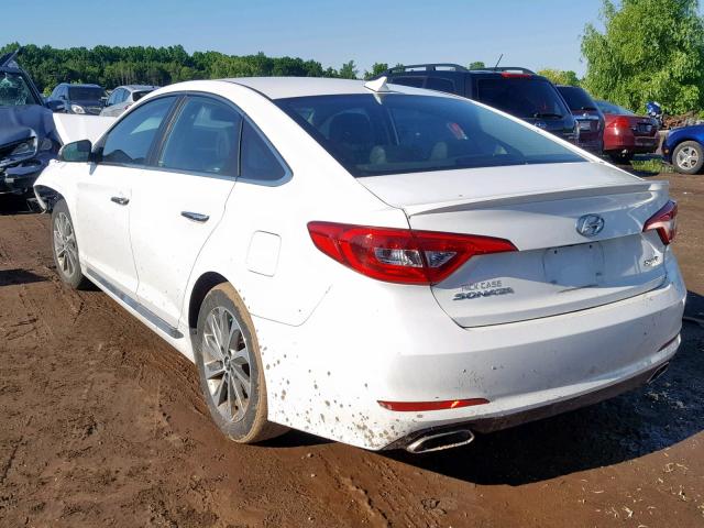 5NPE34AF0FH242693 - 2015 HYUNDAI SONATA SPO WHITE photo 3