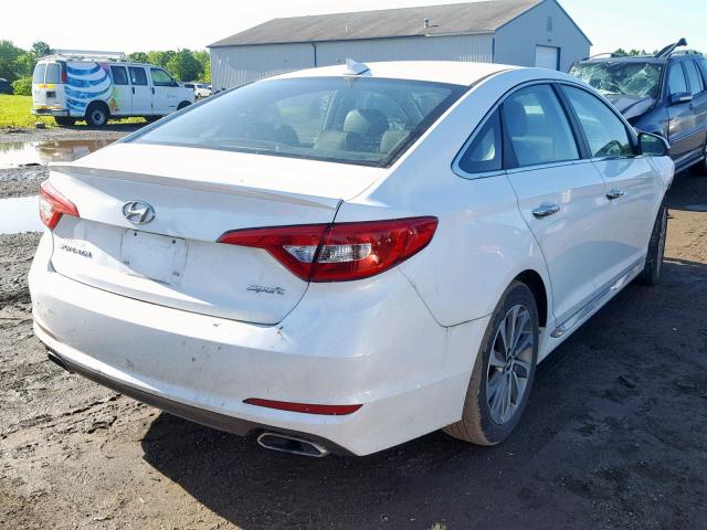 5NPE34AF0FH242693 - 2015 HYUNDAI SONATA SPO WHITE photo 4