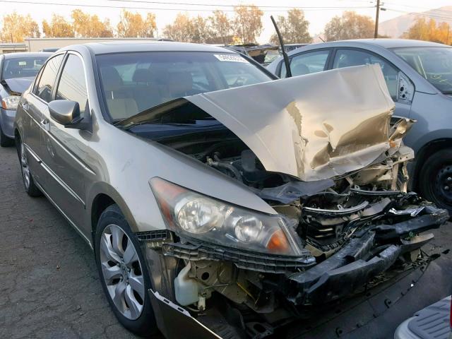 JHMCP26769C001737 - 2009 HONDA ACCORD EX TAN photo 1