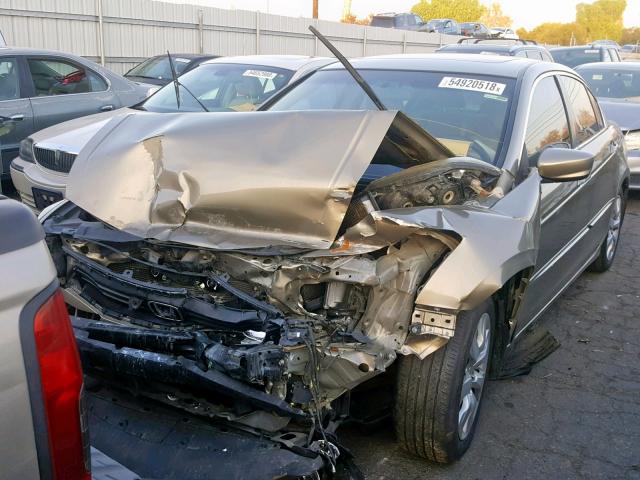 JHMCP26769C001737 - 2009 HONDA ACCORD EX TAN photo 2