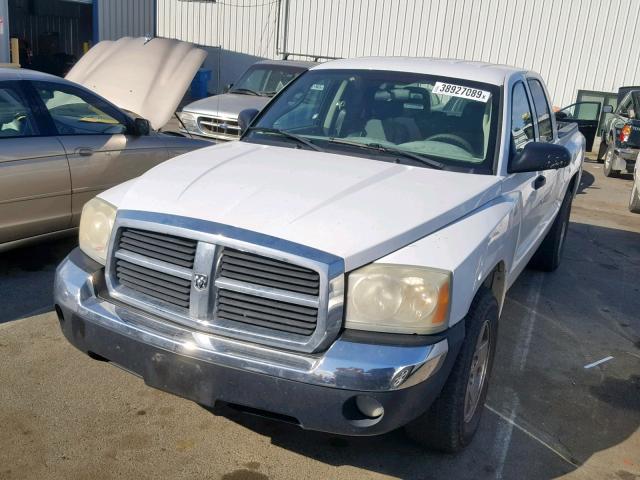 1D7HE48N25S271140 - 2005 DODGE DAKOTA QUA WHITE photo 2