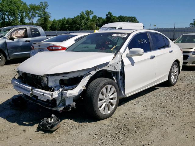 1HGCR2F83FA036054 - 2015 HONDA ACCORD EXL WHITE photo 2