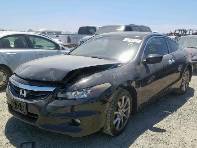 1HGCS2B82BA004555 - 2011 HONDA ACCORD EXL BLACK photo 2