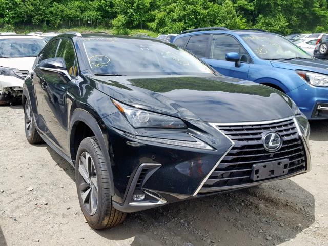 JTJBARBZ3J2160379 - 2018 LEXUS NX 300 BLACK photo 1