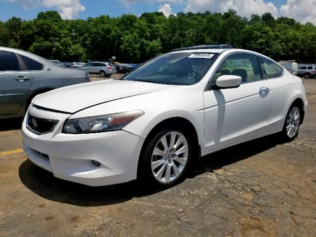 1HGCS228X9A010503 - 2009 HONDA ACCORD EXL WHITE photo 2