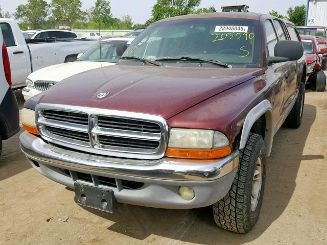 1B7HG2AZ6YS777189 - 2000 DODGE DAKOTA QUA BURGUNDY photo 2