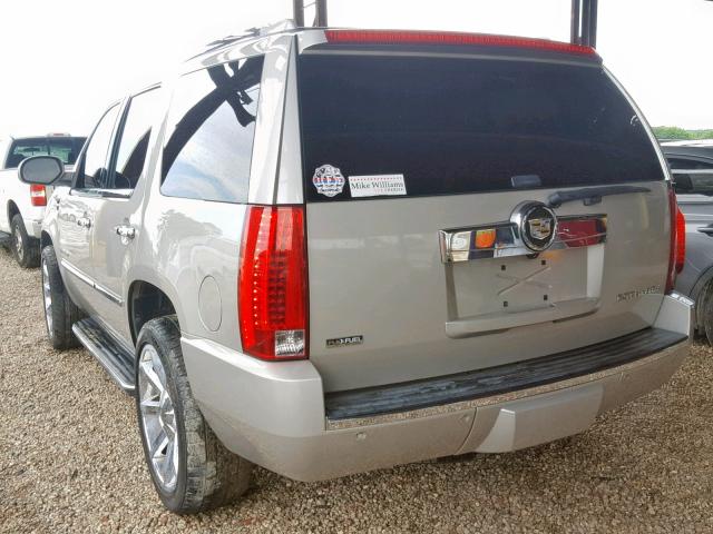 1GYFK23289R101819 - 2009 CADILLAC ESCALADE L TAN photo 3