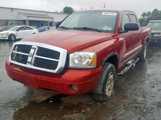 1D7HW48K56S510488 - 2006 DODGE DAKOTA QUA RED photo 2