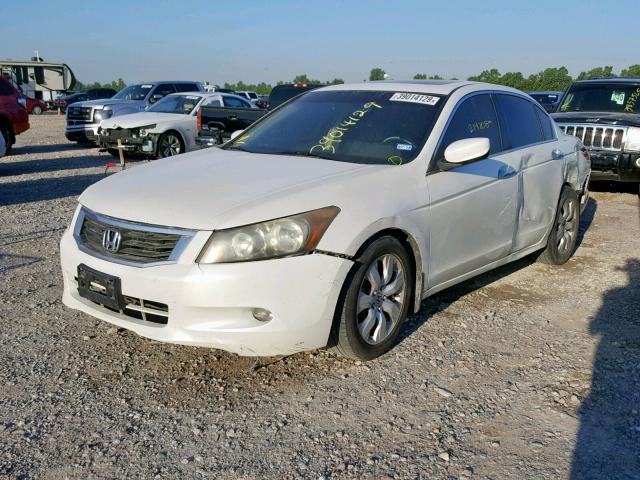 1HGCP36878A033690 - 2008 HONDA ACCORD EXL WHITE photo 2