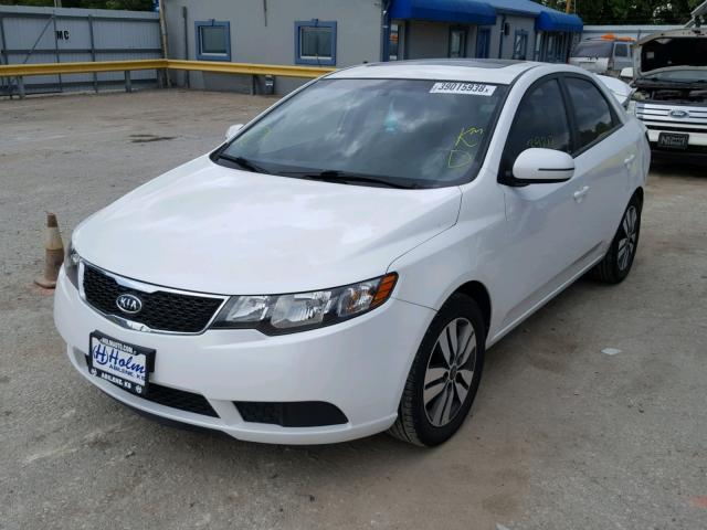 KNAFU4A25D5678108 - 2013 KIA FORTE EX WHITE photo 2