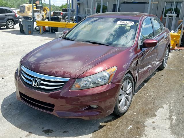 1HGCP3F89CA028130 - 2012 HONDA ACCORD EXL MAROON photo 2