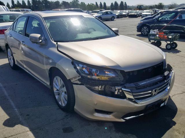 1HGCR2F84DA153784 - 2013 HONDA ACCORD EXL GOLD photo 1