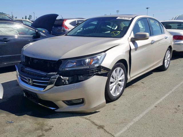 1HGCR2F84DA153784 - 2013 HONDA ACCORD EXL GOLD photo 2