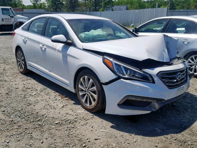 5NPE34AF3FH020651 - 2015 HYUNDAI SONATA SPO WHITE photo 1