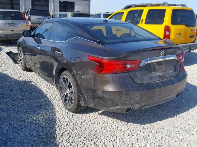 1N4AA6APXGC423294 - 2016 NISSAN MAXIMA 3.5 BROWN photo 3