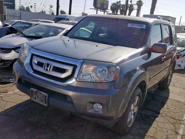 5FNYF4H75BB025426 - 2011 HONDA PILOT EXLN GRAY photo 2