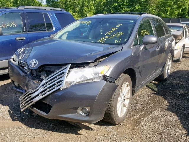 4T3ZE11A89U019524 - 2009 TOYOTA VENZA TAN photo 2