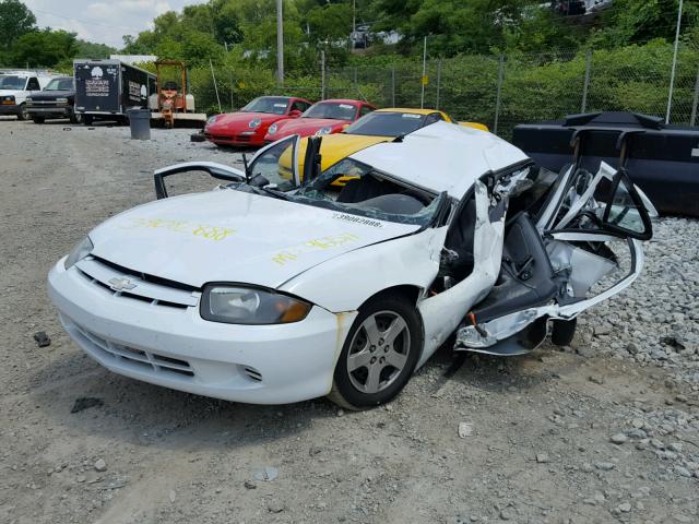 1G1JF52F347209904 - 2004 CHEVROLET CAVALIER L WHITE photo 2