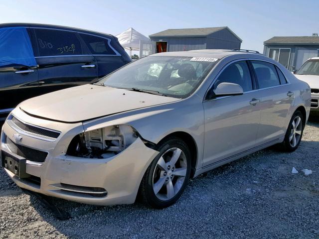 1G1ZC5E19BF158181 - 2011 CHEVROLET MALIBU 1LT GOLD photo 2