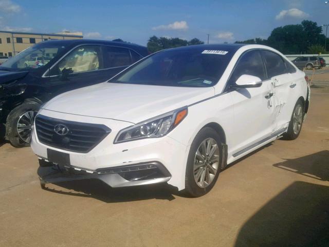 5NPE34AF0GH345176 - 2016 HYUNDAI SONATA SPO WHITE photo 2