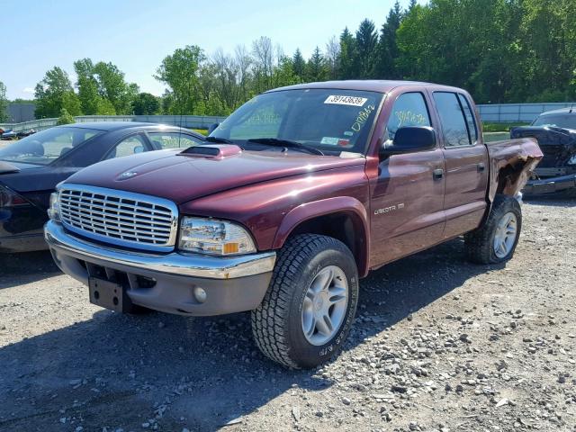 1B7HG48N22S707677 - 2002 DODGE DAKOTA QUA BURGUNDY photo 2