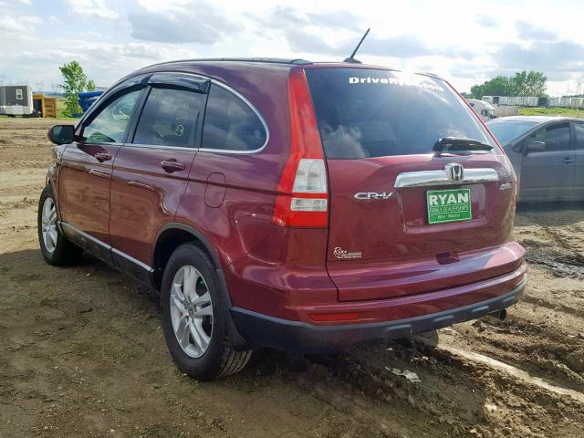 5J6RE4H72BL035278 - 2011 HONDA CR-V EXL BURGUNDY photo 3