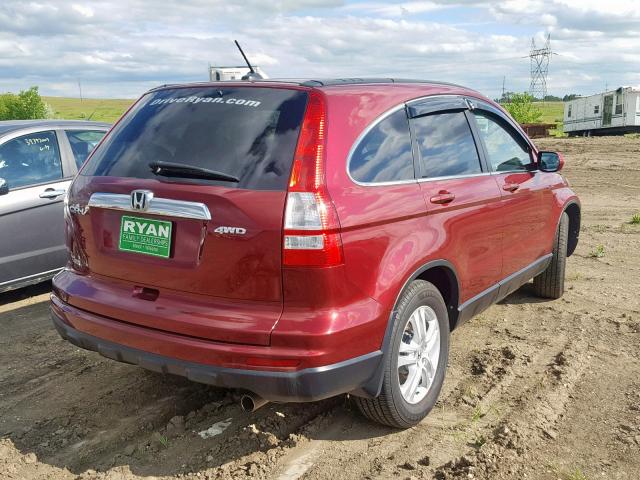 5J6RE4H72BL035278 - 2011 HONDA CR-V EXL BURGUNDY photo 4