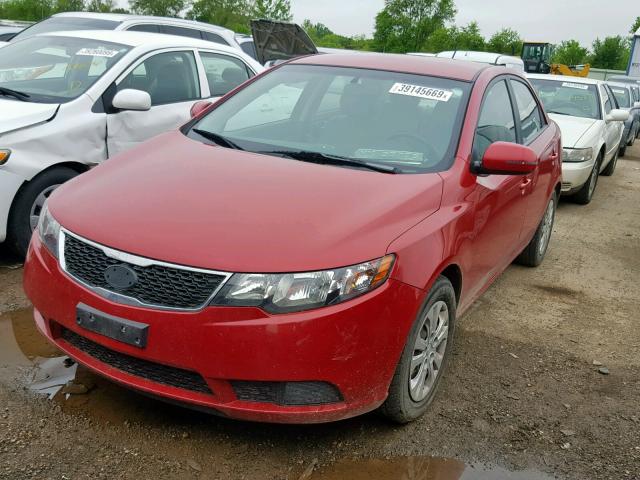 KNAFU4A20D5723665 - 2013 KIA FORTE EX RED photo 2