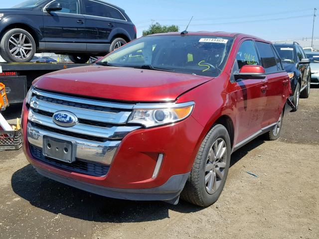 2FMDK3JCXDBB14576 - 2013 FORD EDGE SEL BURGUNDY photo 2