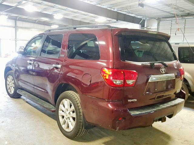 5TDBY67A68S000323 - 2008 TOYOTA SEQUOIA PL BURGUNDY photo 3