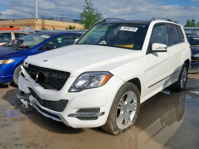 WDCGG0EB9EG191849 - 2014 MERCEDES-BENZ GLK 250 BL WHITE photo 2